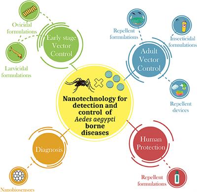 Recent Developments in Nanotechnology for Detection and Control of Aedes aegypti-Borne Diseases